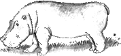 Image28.gif
