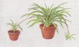 Scan0023.jpg