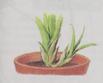 Scan0023.jpg