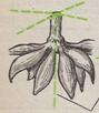 Scan0025.jpg
