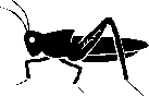 AN04212_.WMF