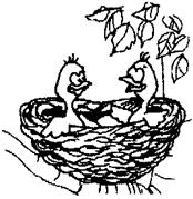 Image80.gif