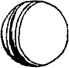Image316.gif