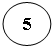 ����: 5