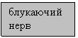 �������: