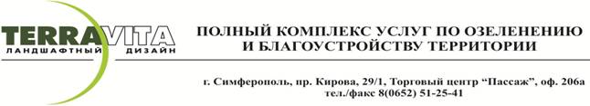 лого со словами