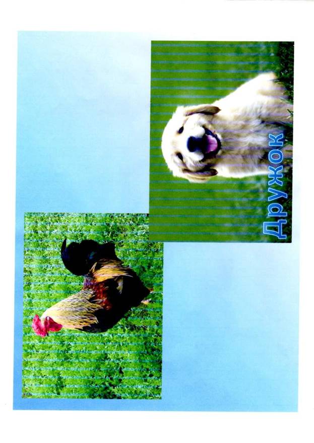 C:\Users\����\Pictures\img002.jpg