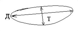 tyreoid_long.gif (672 bytes)