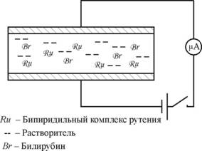 ��������: D:\!!!\���������� ���������������� 2013\�������1.jpg