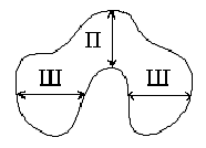tyreoid_transvers.gif (839 bytes)