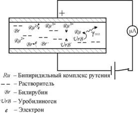 ��������: D:\!!!\���������� ���������������� 2013\�������2.jpg