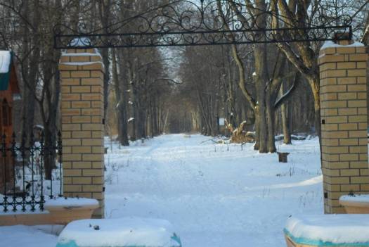 F:\Синезерки\SAM_3544.JPG