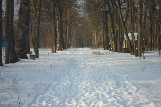 F:\Синезерки\SAM_3554.JPG