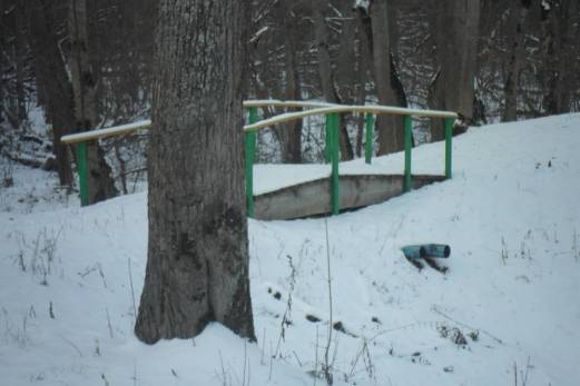 F:\Синезерки\SAM_3586.JPG