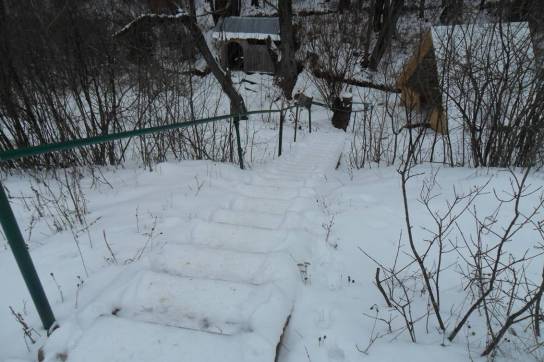 F:\Синезерки\SAM_3631.JPG