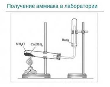 http://ppt4web.ru/images/111/13062/310/img7.jpg