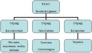 http://festival.1september.ru/articles/589735/img1.gif