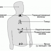 ����������� ������� ��������