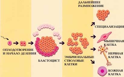 ,2000) - 1. ��������������� � ������������ �����������