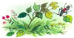 муравей на ветке