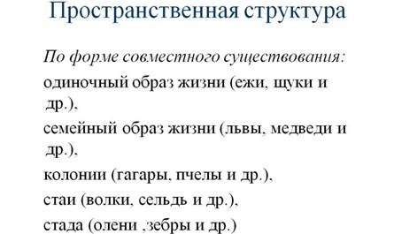 Пространственная структура