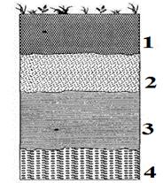 C:\Users\777\Desktop\image006.gif