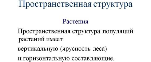 Пространственная структура