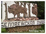 День 6 - Брест - Беловежская Пуща