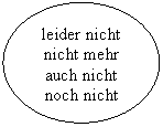 ����: leider nicht

nicht mehr

auch nicht

noch nicht


