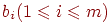 b_{i}

(1\le i\le m)
