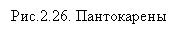 �������:
