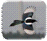http://s005.radikal.ru/i209/1011/0f/a871d962bccd.jpg