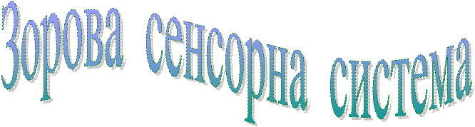 Зорова сенсорна система