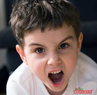 http://www.vashaibolit.ru/uploads/posts/2011-09/1316050631_End-Aggressive-Behavior-in-your-home.jpg