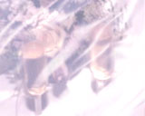 http://novast.com.ua/F20%20-%20Vse%20v%20odnom/!Jpeg/10.jpg