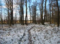 Forum.velogearance.com * �������� ���� - ������ "������� �����" <a title=