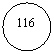 ����: 116