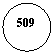 ����: 509