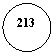 ����: 213