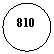 ����: 810