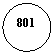 Овал: 801