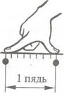 img3.jpg (39872 bytes)