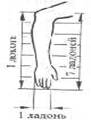 img4.jpg (27326 bytes)