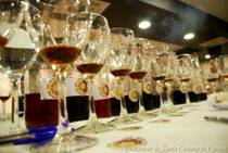 Santa Coloma de Farners - Festa de la Ratafia (Foto: Ajuntament de Santa Coloma de Farners)