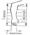 img4.jpg (27326 bytes)
