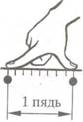 img3.jpg (39872 bytes)