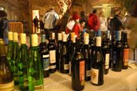 Vilanova i la Geltrú - Festa del Vi Novell (Foto: Celler Can Pujol)