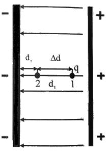 Без имени-1