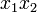 x_1 x_2