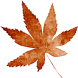 C:\Users\User\Desktop\� ������\������ ������\0_7c4d0_f59b7a1b_orig.png